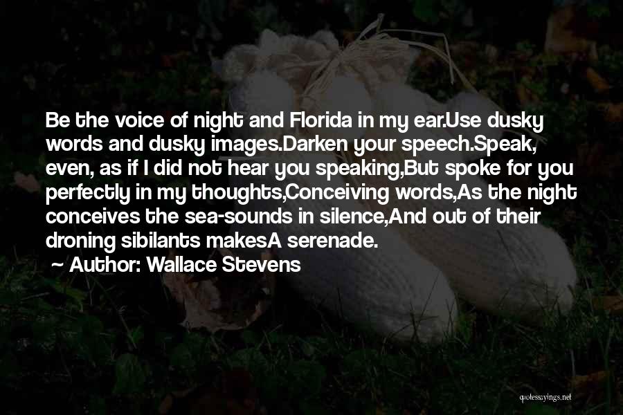 Silence Of Sea Quotes By Wallace Stevens