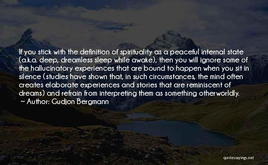 Silence Of The Mind Quotes By Gudjon Bergmann