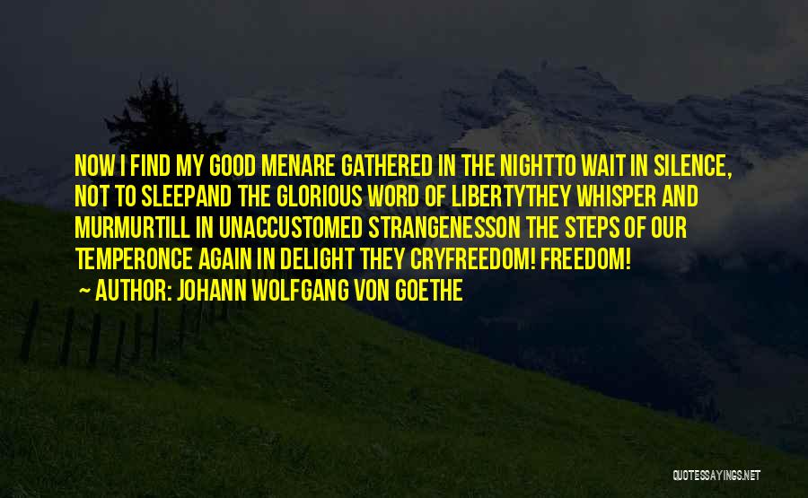 Silence Of The Night Quotes By Johann Wolfgang Von Goethe