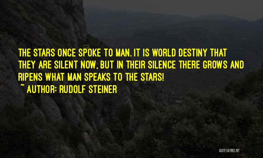 Silence Speaks Quotes By Rudolf Steiner