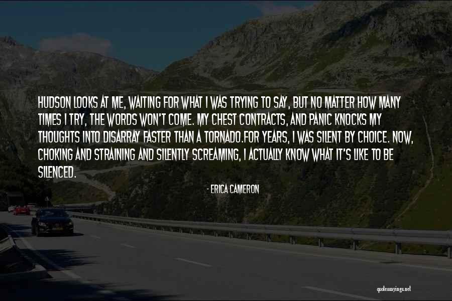 Silenced Quotes By Erica Cameron Silenced Quotes By Erica Cameron