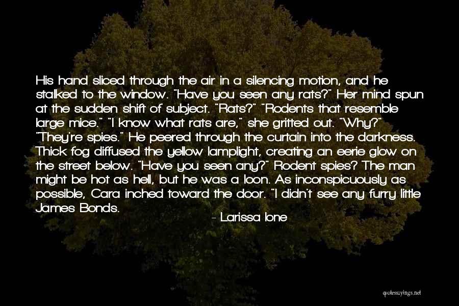 Silencing The Past Quotes By Larissa Ione