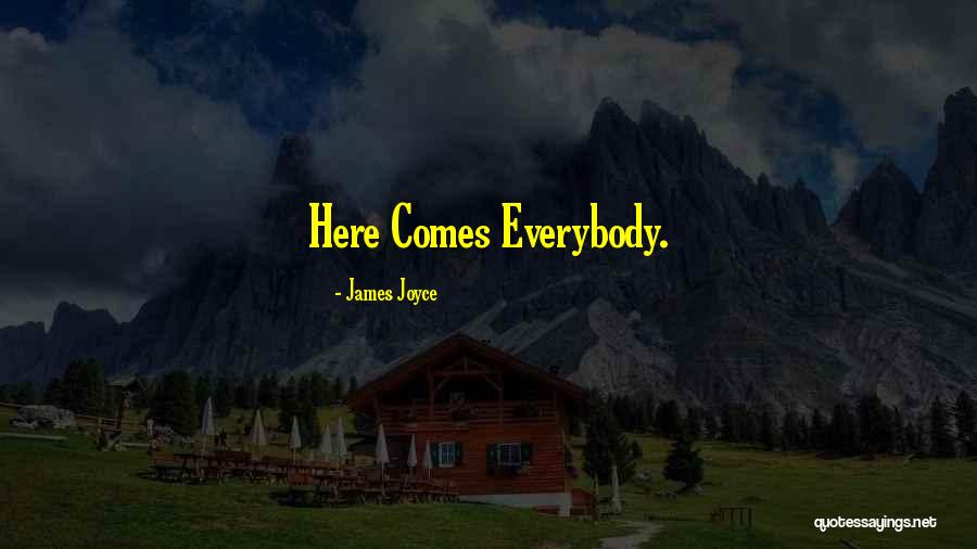 Silent Admirer Quotes By James Joyce