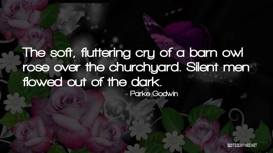 Silent Cry Quotes By Parke Godwin