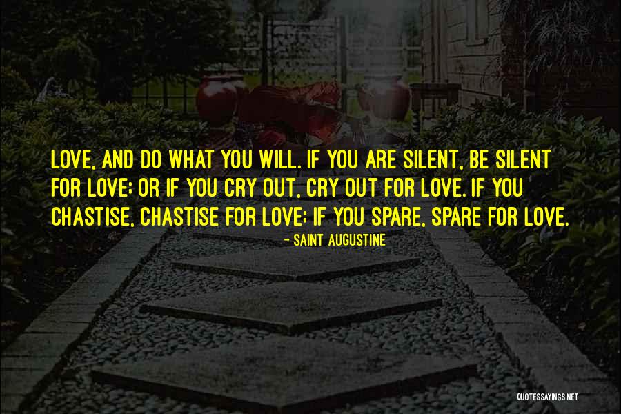 Silent Cry Quotes By Saint Augustine