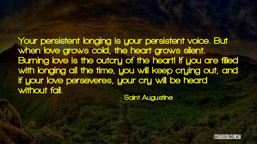 Silent Cry Quotes By Saint Augustine