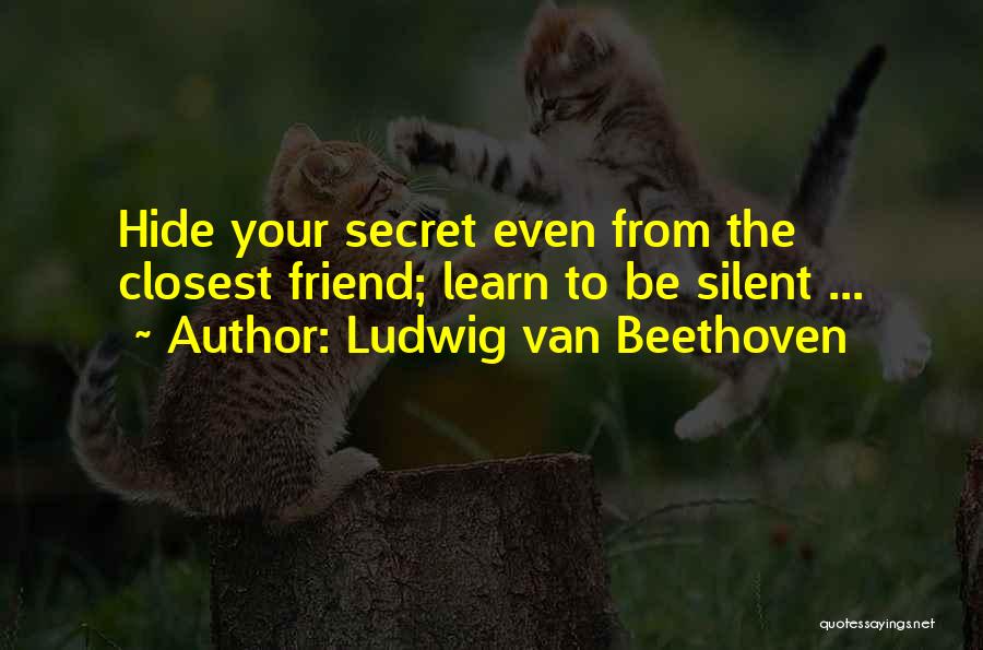 Silent Friends Quotes By Ludwig Van Beethoven