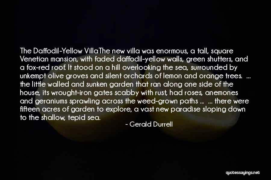 Silent Hill 4 Quotes By Gerald Durrell Silent Hill 4 Quotes By Gerald Durrell
