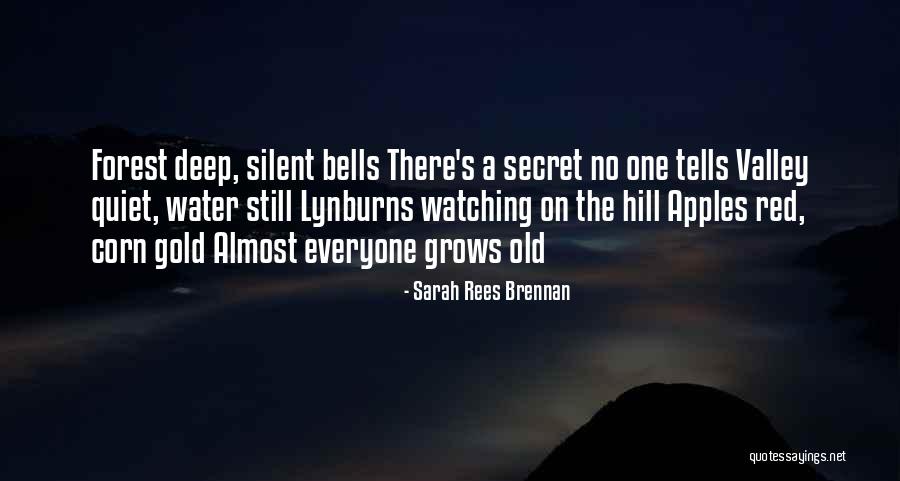 Silent Hill 4 Quotes By Sarah Rees Brennan