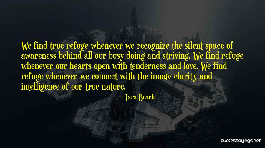Silent Love Quotes By Tara Brach Silent Love Quotes By Tara Brach