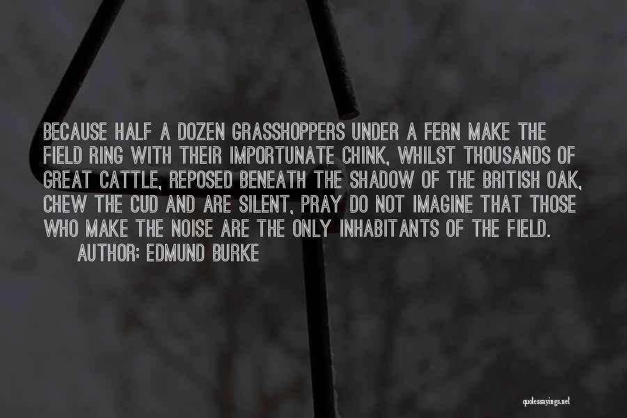 Silent Majority Quotes By Edmund Burke