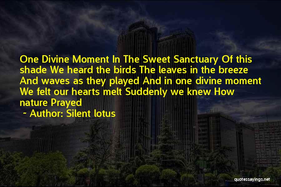 Silent Sanctuary Quotes By Silent Lotus