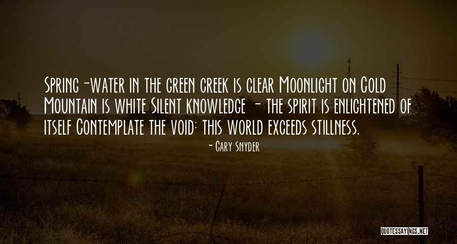 Silent Spring Quotes By Gary Snyder