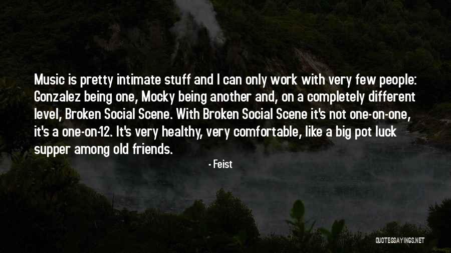 Silent Stroke Quotes By Feist Silent Stroke Quotes By Feist