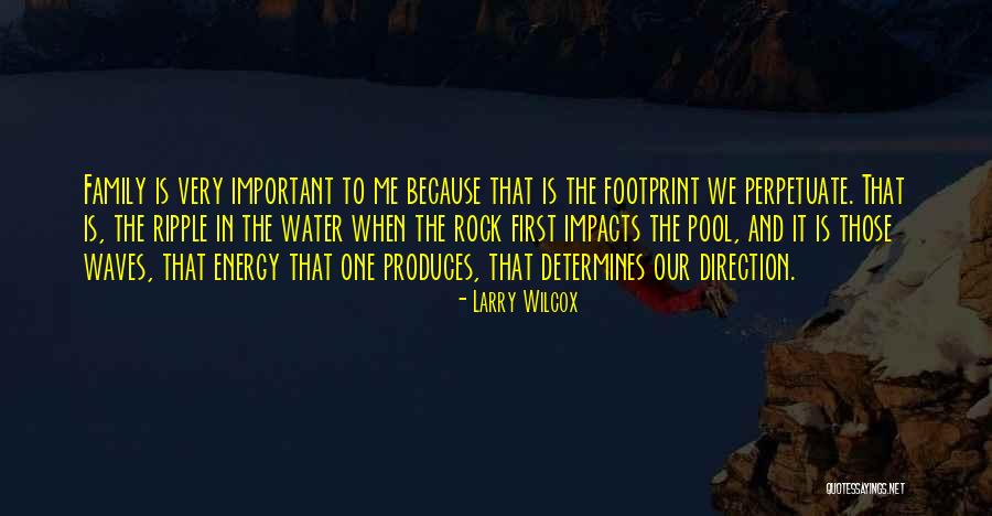 Silent Thunder Order Quotes By Larry Wilcox