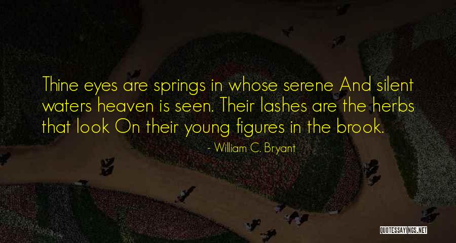 Silent Waters Quotes By William C. Bryant Silent Waters Quotes By William C. Bryant
