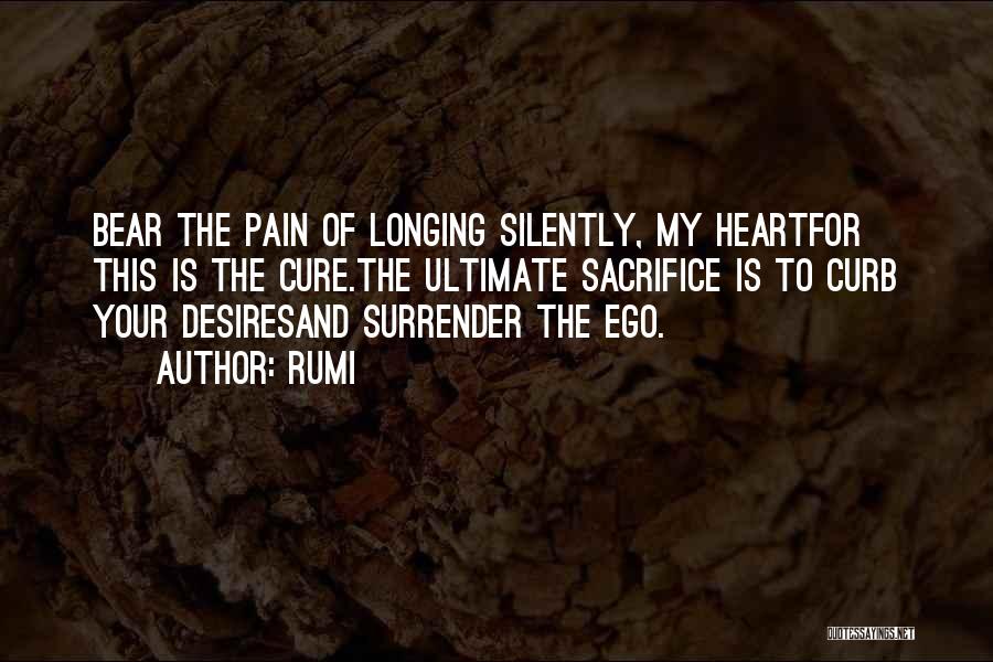 Silently In Pain Quotes By Rumi