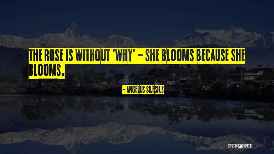 Silesius Angelus Quotes By Angelus Silesius Silesius Angelus Quotes By Angelus Silesius