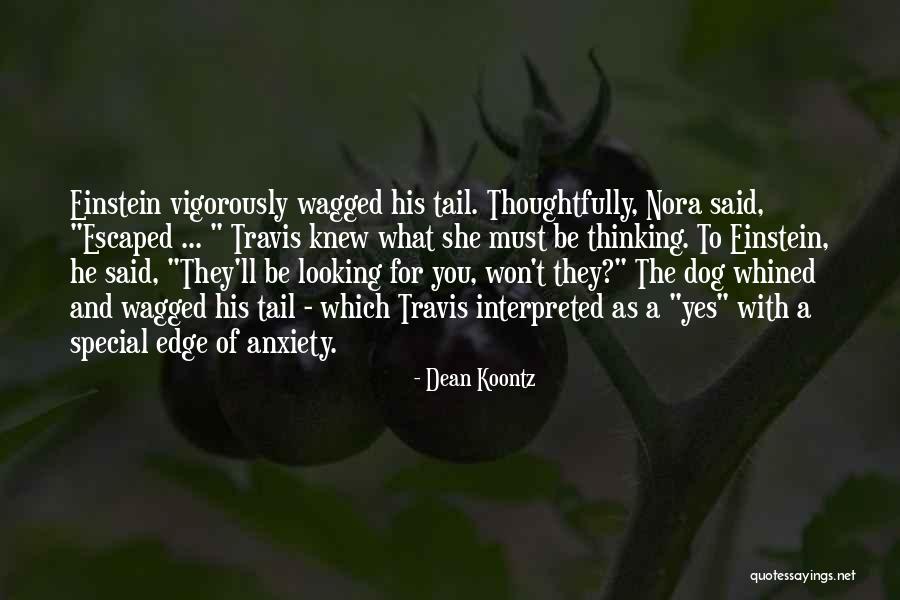 Silhouetting Radiograph Quotes By Dean Koontz Silhouetting Radiograph Quotes By Dean Koontz