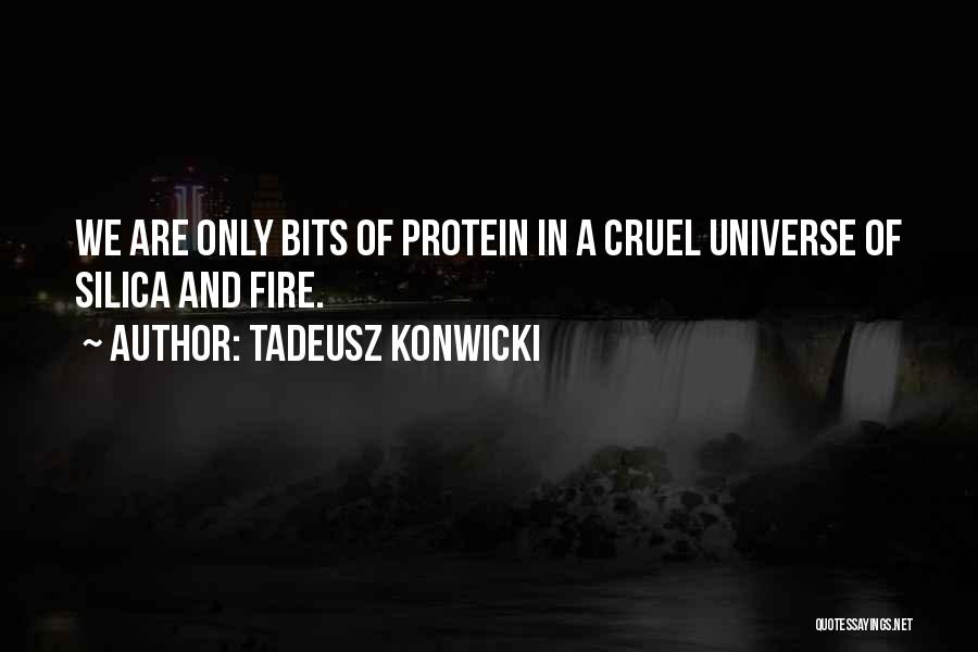 Silica Quotes By Tadeusz Konwicki