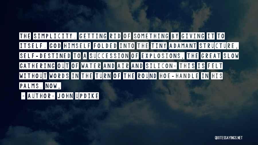 Silicon Quotes By John Updike