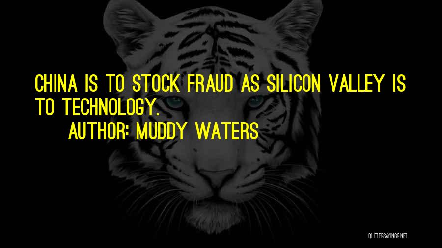 Silicon Quotes By Muddy Waters