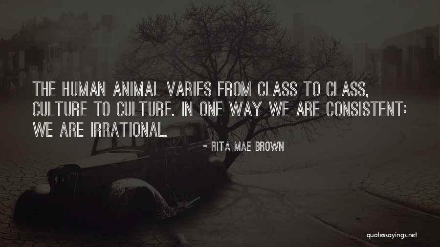 Silicon Valley Hbo Best Quotes By Rita Mae Brown Silicon Valley Hbo Best Quotes By Rita Mae Brown