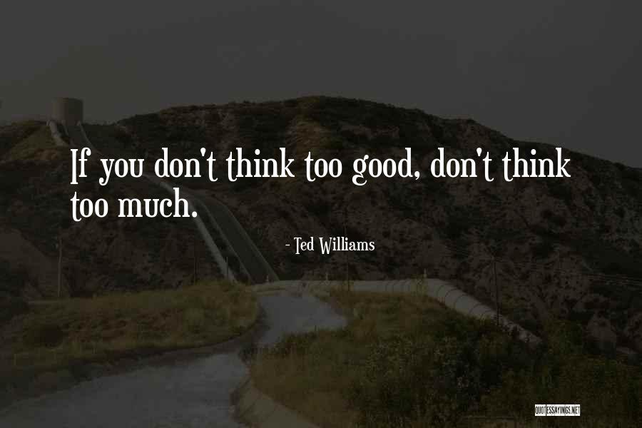 Silivas Beam Quotes By Ted Williams Silivas Beam Quotes By Ted Williams
