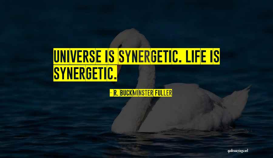 Silk Ka Quotes By R. Buckminster Fuller Silk Ka Quotes By R. Buckminster Fuller