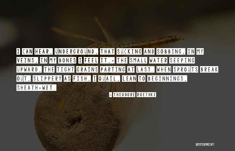 Silkline Travels Quotes By Theodore Roethke Silkline Travels Quotes By Theodore Roethke