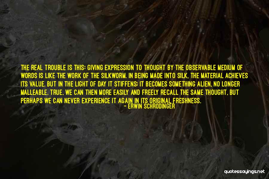 Silkworm Quotes By Erwin Schrodinger Silkworm Quotes By Erwin Schrodinger