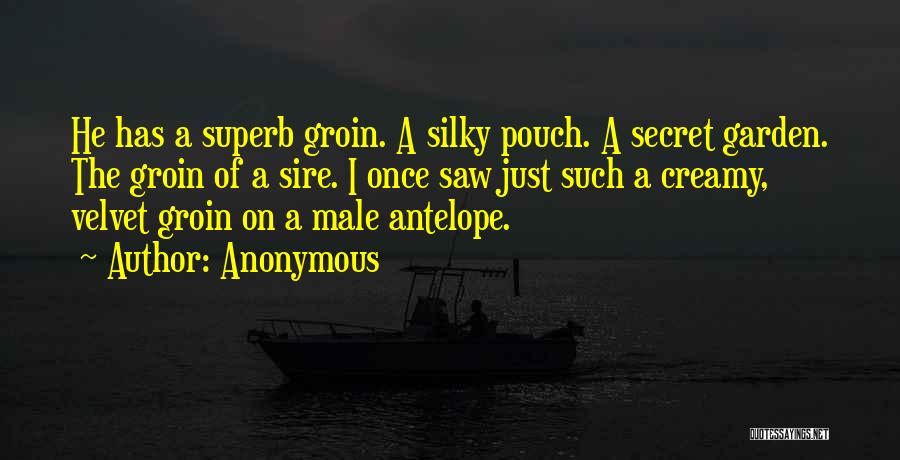 Silky Quotes By Anonymous