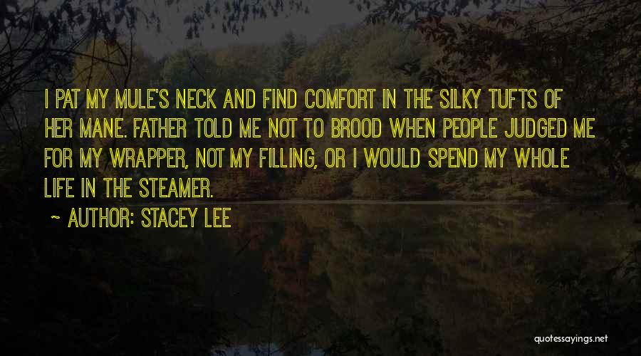 Silky Quotes By Stacey Lee