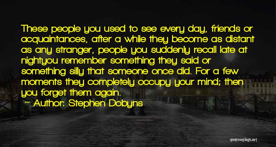 Silly Moments Quotes By Stephen Dobyns