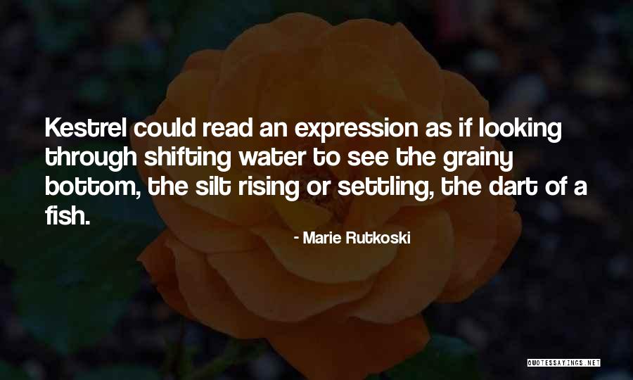 Silt Quotes By Marie Rutkoski Silt Quotes By Marie Rutkoski
