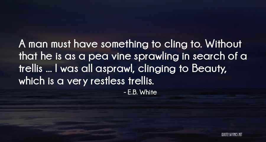 Silted Coffin Quotes By E.B. White Silted Coffin Quotes By E.B. White