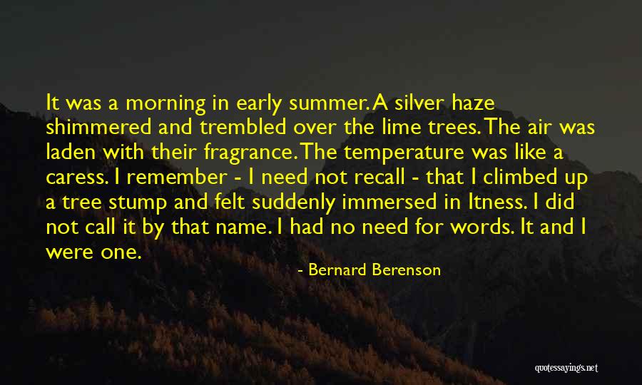 Silver On The Tree Quotes By Bernard Berenson