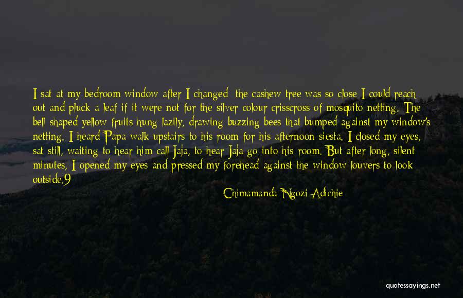 Silver On The Tree Quotes By Chimamanda Ngozi Adichie Silver On The Tree Quotes By Chimamanda Ngozi Adichie