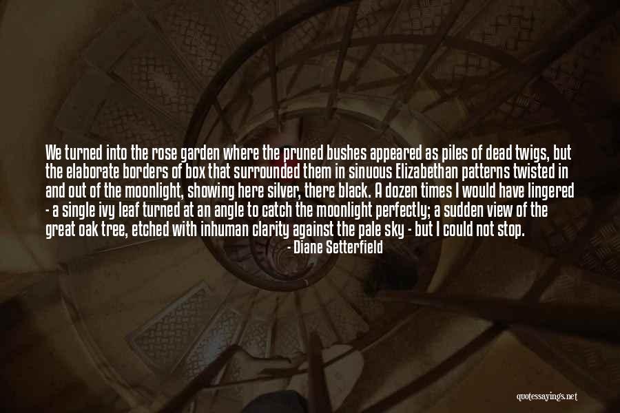 Silver On The Tree Quotes By Diane Setterfield Silver On The Tree Quotes By Diane Setterfield