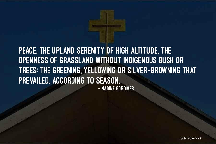 Silver On The Tree Quotes By Nadine Gordimer Silver On The Tree Quotes By Nadine Gordimer