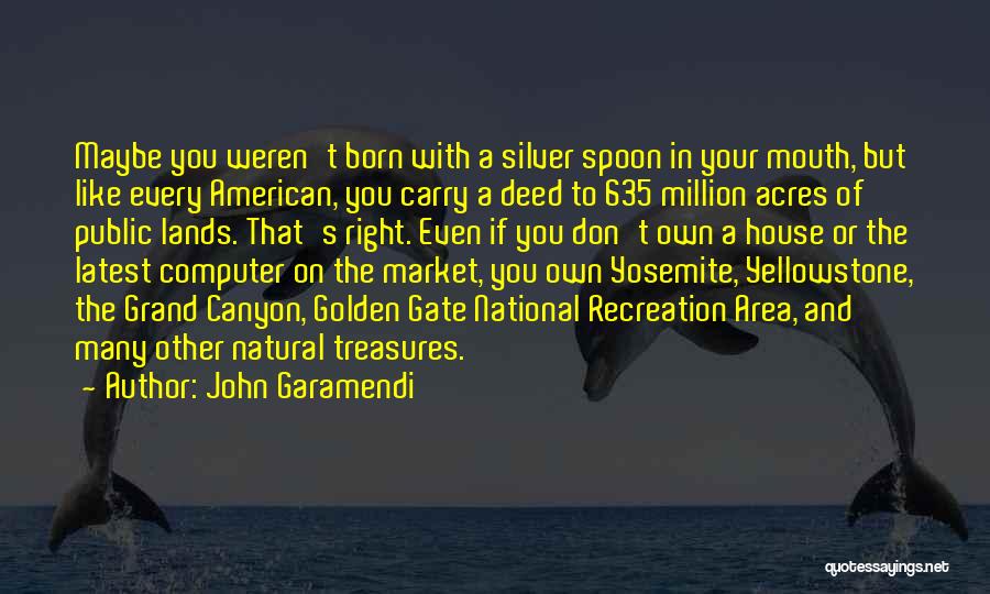 Silver Spoon Quotes By John Garamendi