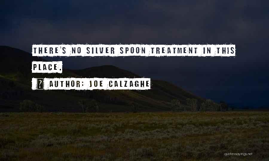 Silver Spoons Quotes By Joe Calzaghe