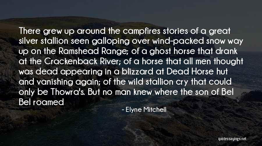 Silver Stallion Quotes By Elyne Mitchell Silver Stallion Quotes By Elyne Mitchell