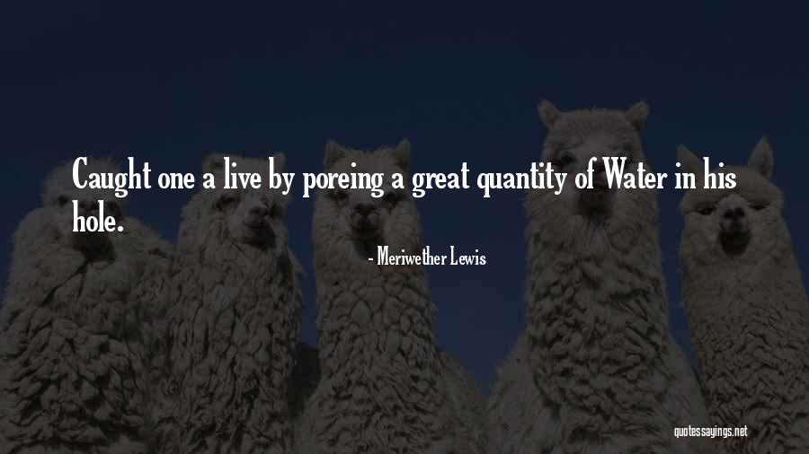 Silverio Mazzella Quotes By Meriwether Lewis