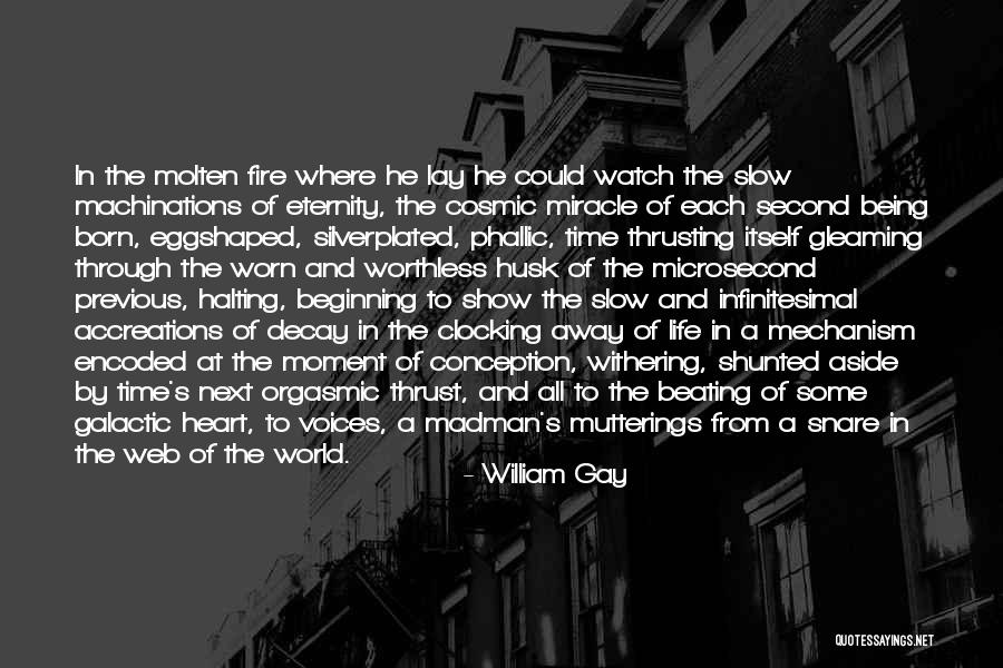 Silverplated Quotes By William Gay Silverplated Quotes By William Gay