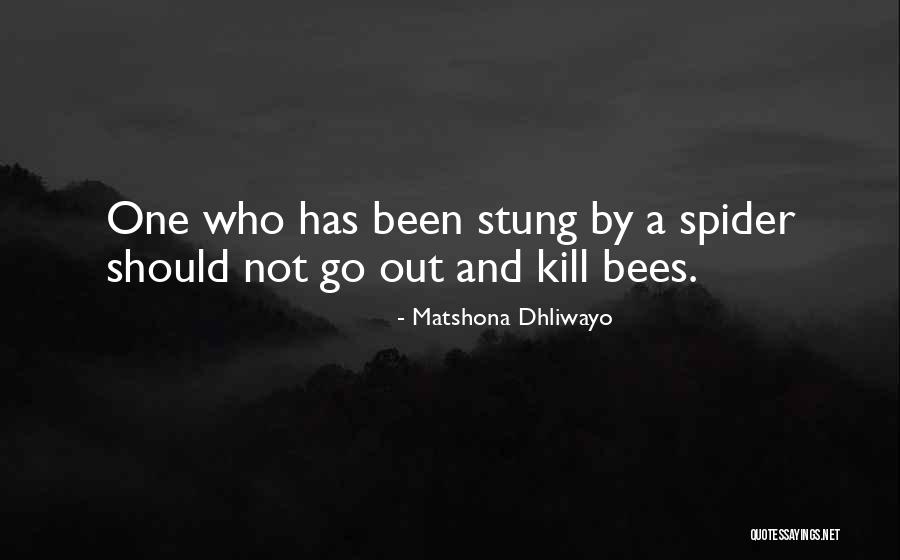 Silvers Rayleigh Quotes By Matshona Dhliwayo