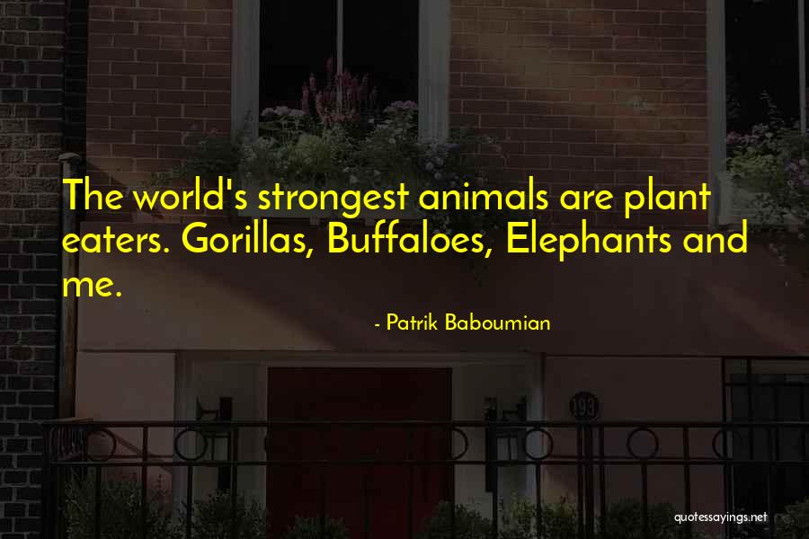 Silvertone Acoustic Guitar Quotes By Patrik Baboumian Silvertone Acoustic Guitar Quotes By Patrik Baboumian
