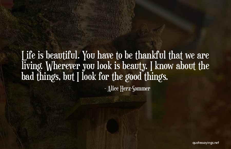 Silvertop Quotes By Alice Herz-Sommer Silvertop Quotes By Alice Herz-Sommer