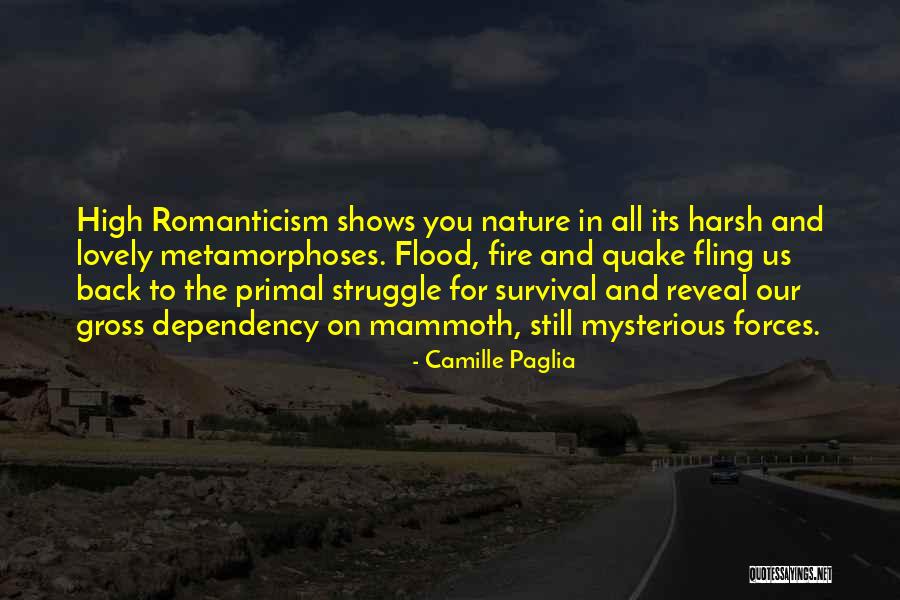Silverwear Quotes By Camille Paglia Silverwear Quotes By Camille Paglia