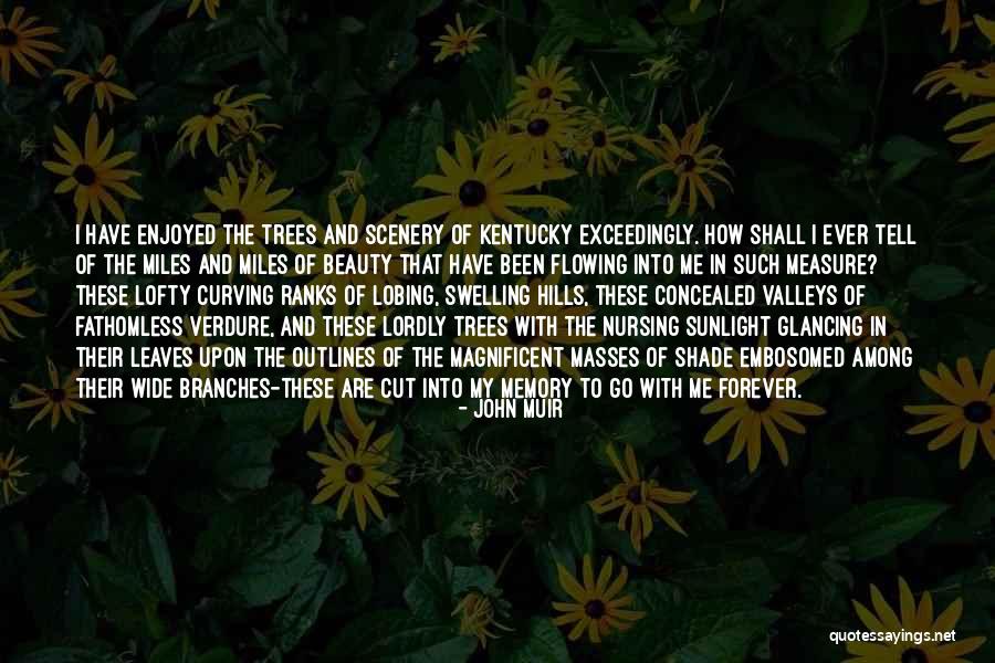 Silvestros Barber Quotes By John Muir Silvestros Barber Quotes By John Muir